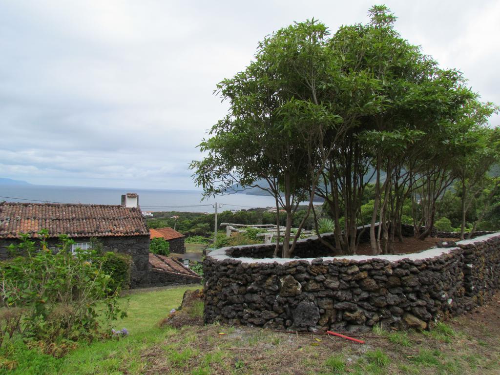 Casas De Campo Housesinpico Prainha  Exteriér fotografie