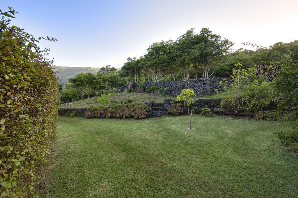Casas De Campo Housesinpico Prainha  Exteriér fotografie